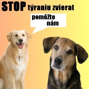 Obrázok